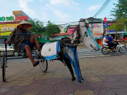 Tin tức - Ông lão miền Tây rong ruổi trên “con ngựa sắt” độc lạ, ai thấy cũng phải ngoái nhìn