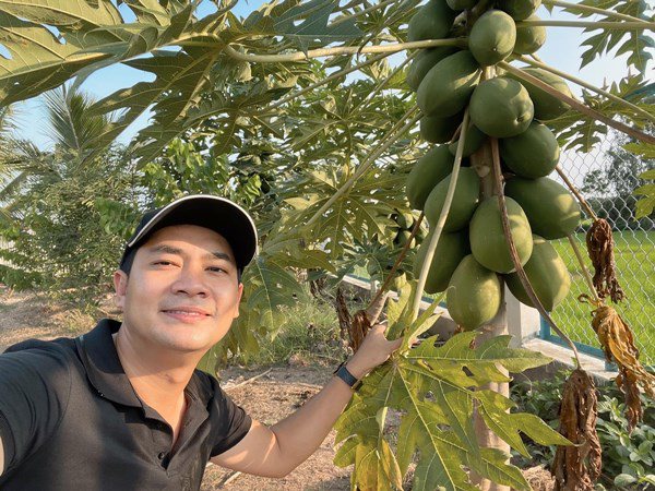 Nhà Celeb: Minh Luân về quê cải tạo vườn 2.000 m2, giờ bắt đầu ra quả xum xuê - 1