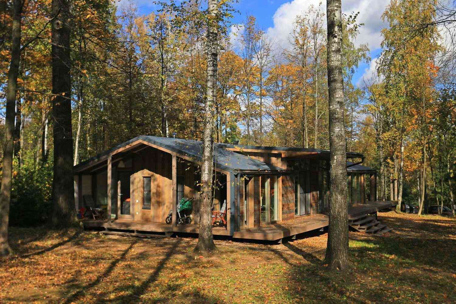 Căn nhà ẩn mình trong rừng tuyệt đẹp xây trong 10 ngày - 5
