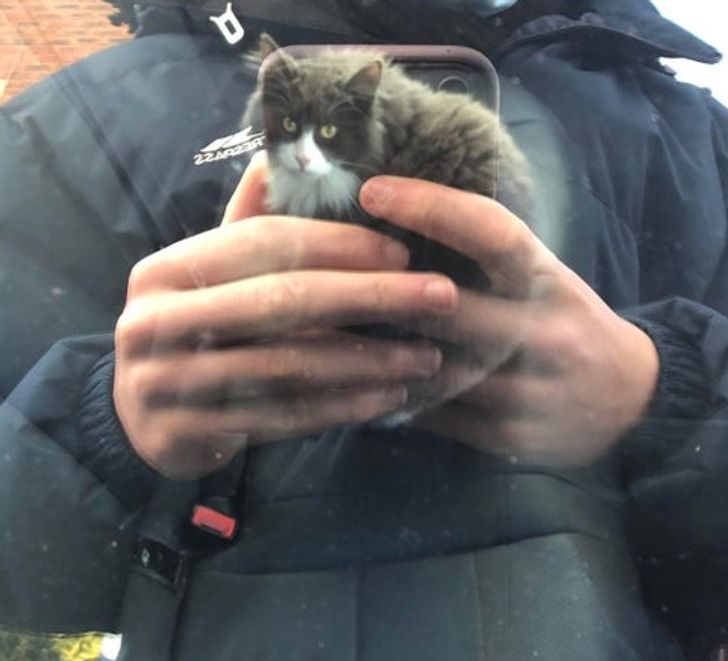 18 khoảnh khắc thú vị não bộ của bạn bị đôi mắt amp;#34;đánh lừaamp;#34; - 2