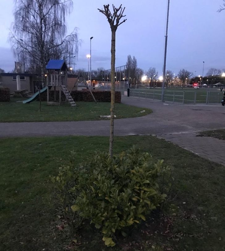 18 khoảnh khắc thú vị não bộ của bạn bị đôi mắt amp;#34;đánh lừaamp;#34; - 12