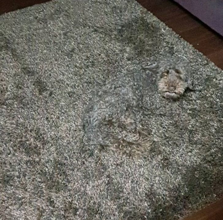 18 khoảnh khắc thú vị não bộ của bạn bị đôi mắt amp;#34;đánh lừaamp;#34; - 18