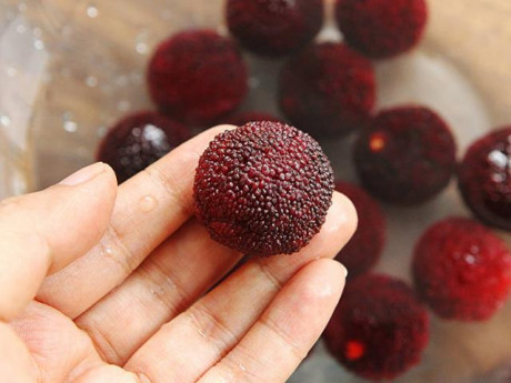 Mẹo hay nhà bếp - Thích ăn quả thanh mai nhưng sợ có bọ, rửa theo cách này sạch bong, yên tâm thưởng thức