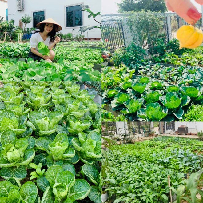 Mẹ bốn con ở Quảng Ninh với “nông trại cổ tích” 300m2 giữa thành phố mà ai cũng ao ước - 4