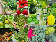 Mẹ bốn con ở Quảng Ninh với “nông trại cổ tích” 300m2 giữa thành phố mà ai cũng ao ước