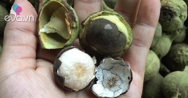 Quả rừng có tên lạ xuống phố chị em đua nhau mua, luộc hay nấu canh đều ...