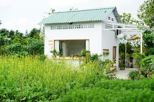 8x Tiền Giang amp;#34;biếnamp;#34; nhà hoang thành nhà vườn đẹp như cổ tích chỉ với hơn 100 triệu đồng - 8