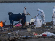 Clip Eva - Phẫn nộ cảnh người thân ném thi thể bệnh nhân COVID-19 xuống sông ở Ấn Độ