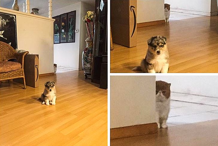 Cười bò với loạt ảnh thoạt nhìn tưởng bình thường, phóng to mới biết điều hài hước - 11