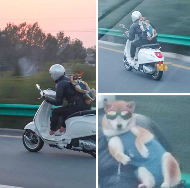 Cười bò với loạt ảnh thoạt nhìn tưởng bình thường, phóng to mới biết điều hài hước - 12