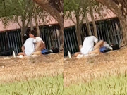 Tin tức - Cặp đôi trẻ gây bức xúc khi "mây mưa" giữa công viên, trước mặt nhiều gia đình và trẻ em