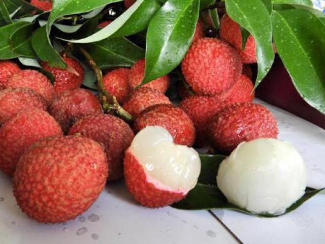 Hai bộ phận khi ăn vải ai cũng vứt, một trong số đó là vị thuốc chữa bệnh rất quý