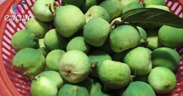 Loại quả rừng nhìn như quả sung, dân lấy hạt đem bán 400.000 đồng/kg