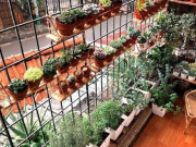 Nhà đẹp - Trồng cây trước nhà là lỗi thời, để ngay ở vị trí này tốt gấp chục lần