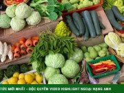 Tiêu dùng - 8x Hà Nội làm sạp rau củ “siêu lạ”, khách trả bao nhiêu tiền cũng không bán