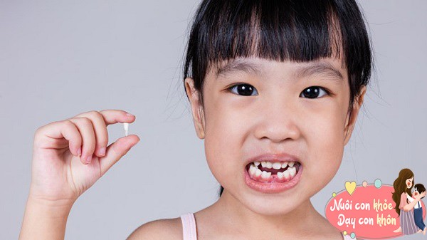 Đừng vội vứt răng sữa của con, chúng có thể cứu trẻ trong tương lai: Chuyên gia giải đáp - 6