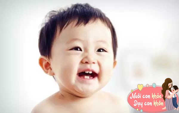 Đừng vội vứt răng sữa của con, chúng có thể cứu trẻ trong tương lai: Chuyên gia giải đáp - 4