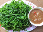 Sức khỏe - Tác dụng của rau rừng và các loại rau rừng tốt cho sức khỏe