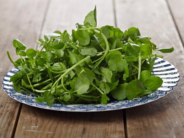 Tác dụng của rau cải xoong là gì? Cách chế biến rau cải xoong đúng