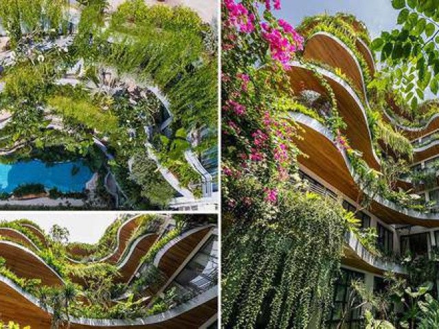 Tòa nhà cũ được cải tạo thành ốc đảo xanh ở Sài Gòn khiến báo nước ngoài trầm trồ