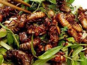 Xem ăn chơi - Món đặc sản thử thách lòng can đảm của người ăn ở vùng Long Khánh