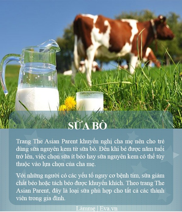 Đặt các loại sữa lên bàn cân: Sữa bò, sữa hạt, sữa dừa,...đây là sữa tốt nhất cho con - 4