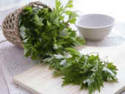 Sức khỏe - Rau ngải cứu có tác dụng gì và cách sử dụng rau ngải cứu