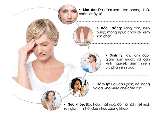 Estrogen - yếu tố quyết định đến nhan sắc của phái đẹp - 1