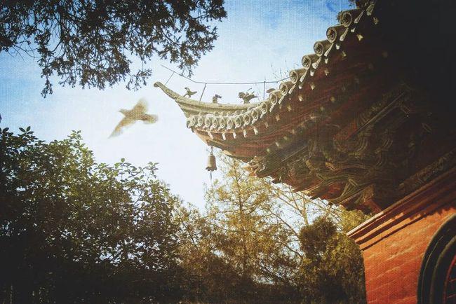 Tu cái miệng là tu hơn nửa đời người, 3 điều nhớ đừng nói với người khác - 3