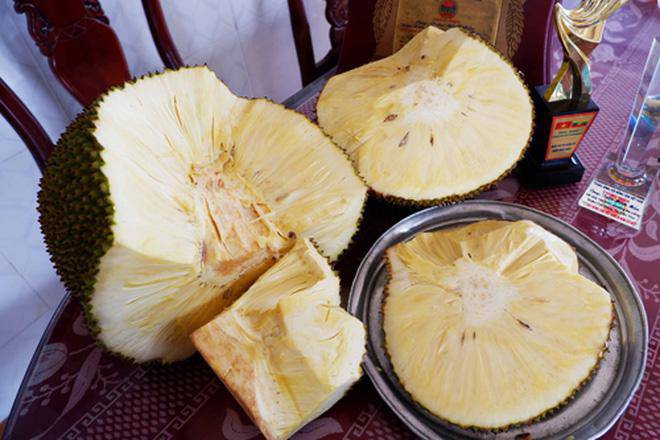 Trái mít không hạt khiến dân mạng sửng sốt, đã vậy còn có vị như sữa chua - 2