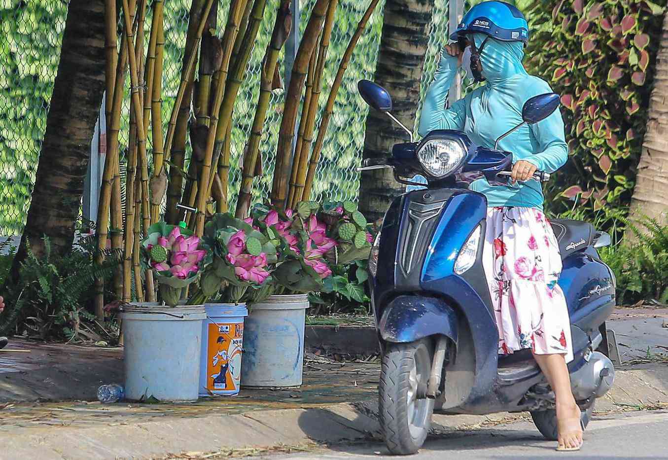 Đầm sen nổi tiếng Hà Nội bung nở hút hồn, dịch vụ amp;#34;ăn theoamp;#34; ế ẩm vì COVID-19 - 17