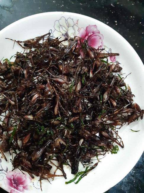 Kỳ lạ loại tôm bám chi chít trên cây, giá nửa triệu đồng/kg - 4