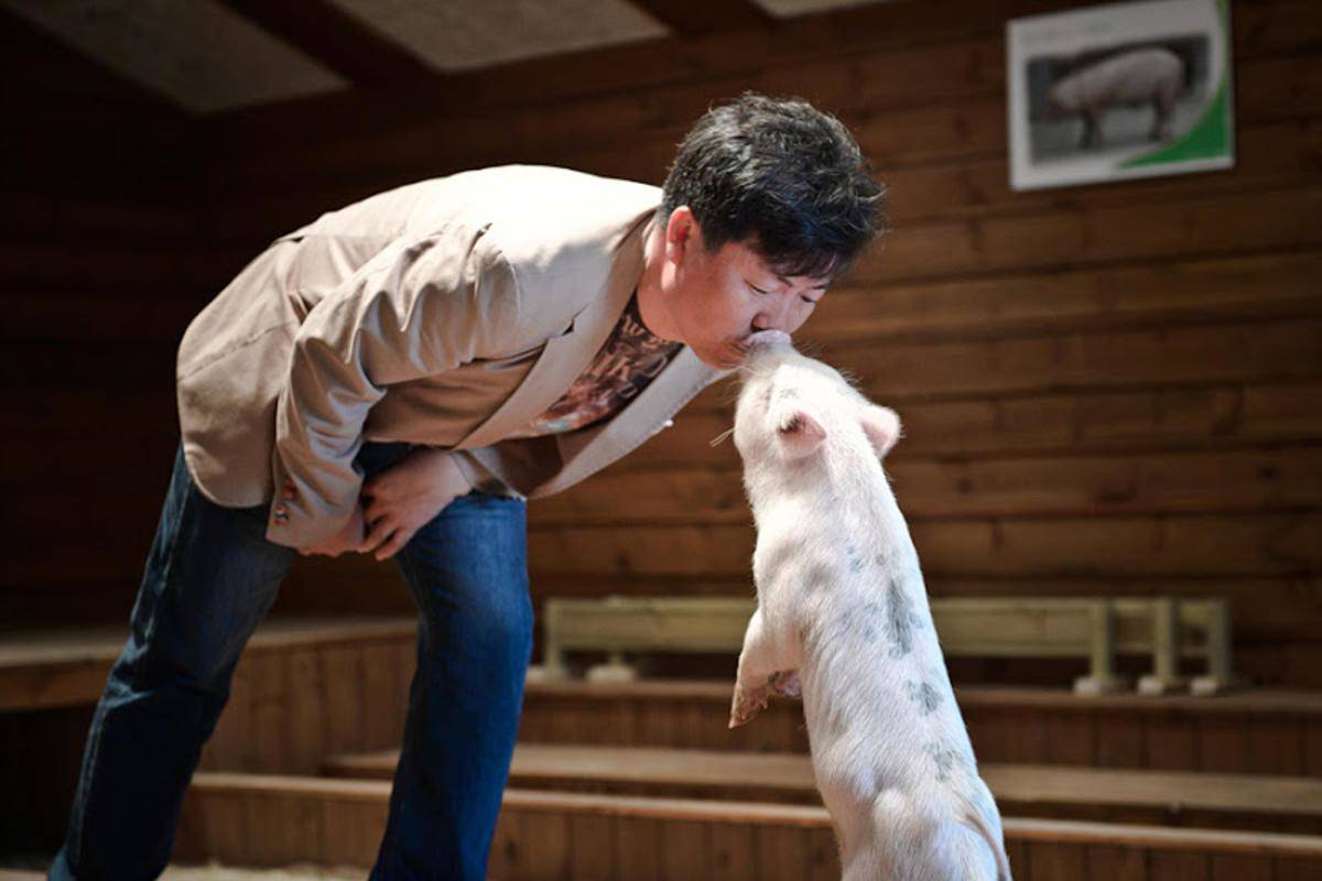 Top 6 bảo tàng vô cùng kì quái chỉ có ở Hàn Quốc - 4