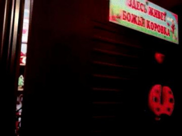 Choáng ngợp với bộ sưu tập bò rùa lớn nhất thế giới