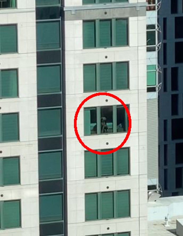 Cặp đôi kéo rèm amp;#34;yêu đươngamp;#34; trong khách sạn, nhân viên văn phòng ở tòa nhà đối diện nhức mắt - 1