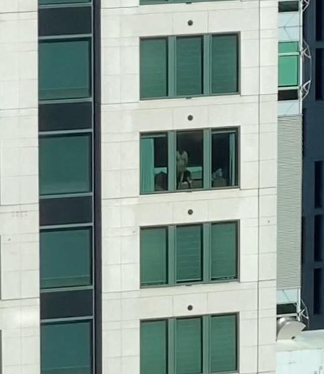 Cặp đôi kéo rèm amp;#34;yêu đươngamp;#34; trong khách sạn, nhân viên văn phòng ở tòa nhà đối diện nhức mắt - 2