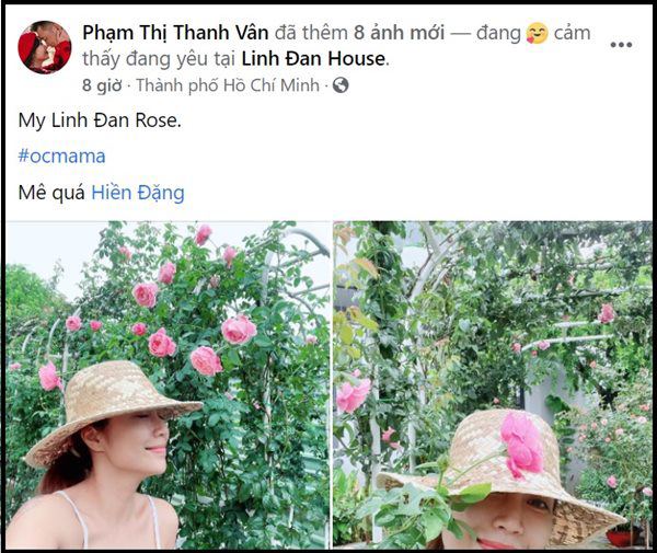 Nhà Celeb: Ốc Thanh Vân đưa con ra vườn, mẹ thăm giàn hoa hồng, con hái mít mỏi tay - 4