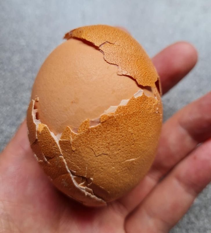 16 bức ảnh thú vị khiến bạn “mở mang tầm mắt” - 10