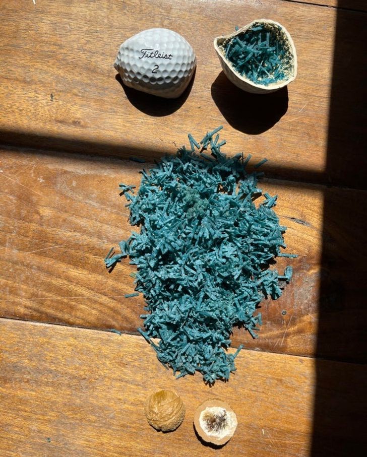 16 bức ảnh thú vị khiến bạn “mở mang tầm mắt” - 3