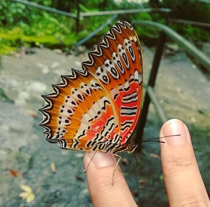 16 bức ảnh thú vị khiến bạn “mở mang tầm mắt” - 6