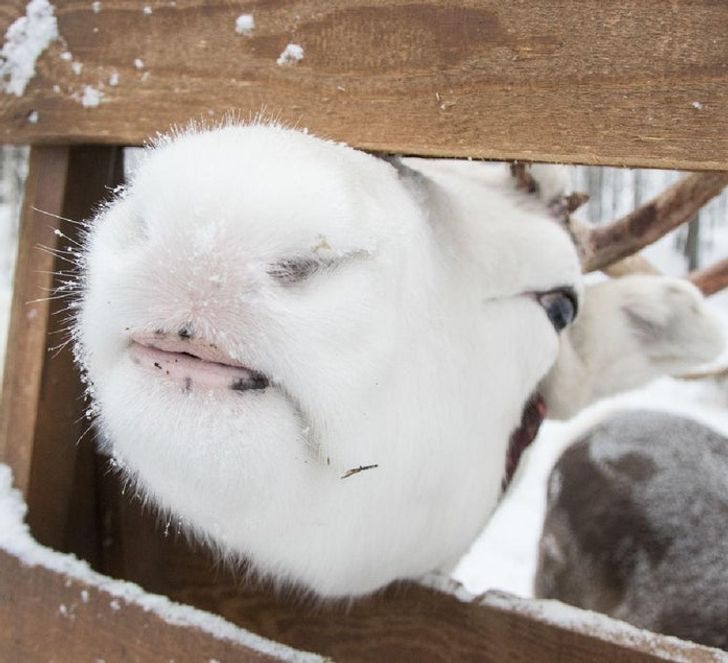 16 bức ảnh thú vị khiến bạn “mở mang tầm mắt” - 7