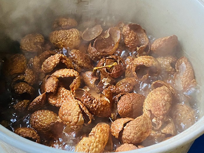 Vỏ quả vải tách ra rồi đun sôi