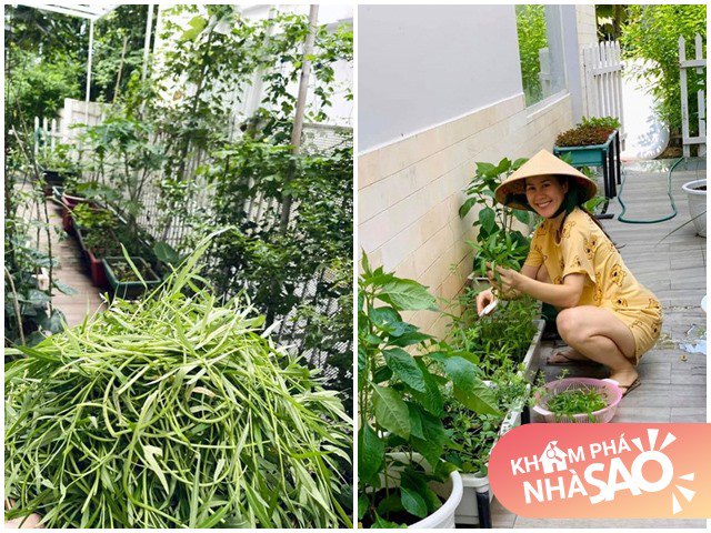 Gia đình nổi tiếng: Chàng trai thèm rau muống, hơn cả Thúy Hà tự đạt thành tích khủng