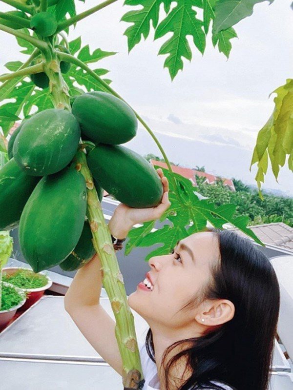 Nhà Celeb: Diệp Bảo Ngọc trồng rau trên sân thượng như nhà ở quê, thu hoạch cả rổ - 7
