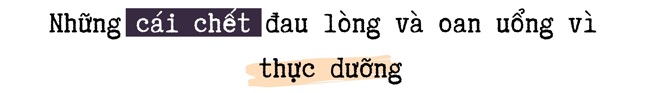 Cái chết đau lòng khi bỏ điều trị, ăn thực dưỡng chữa bệnh và lời cảnh tỉnh của chuyên gia - 2