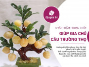Clip Eva - 5 vật phẩm phong thủy giúp gia chủ cầu trường thọ