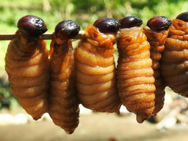 7 món ăn từ đặc sản béo múp và mềm nhũn, thoạt nhìn rất ghê nhưng ngon vô cùng