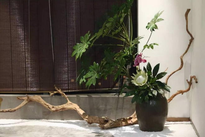 5 mistakes when placing bonsai in the living room, it's not bad luck to laugh out loud - 8