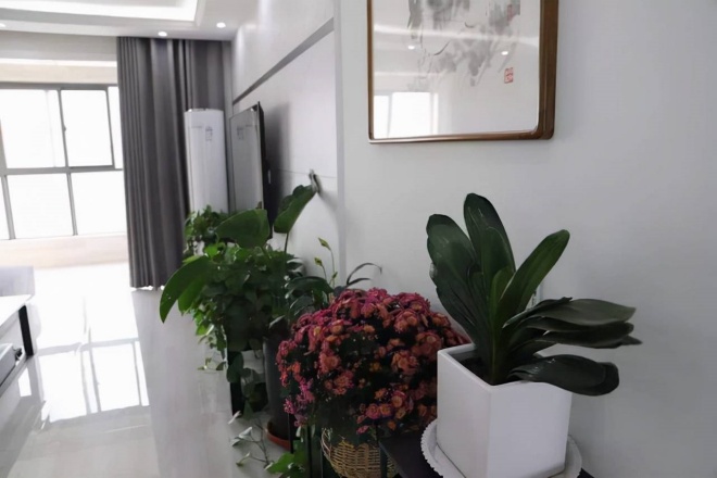 5 mistakes when placing bonsai in the living room, it's not bad luck to laugh out loud - 5
