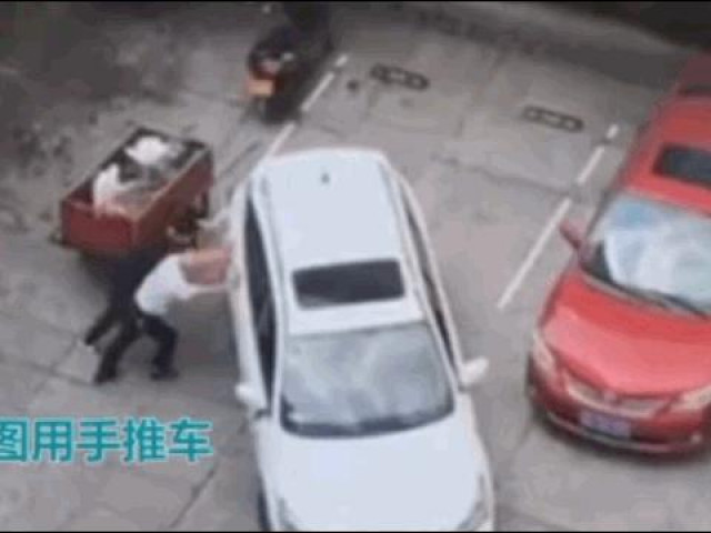 Clip Eva - Clip: Tài xế lùi xe vào chuồng chục lần không được và cái kết hài hước